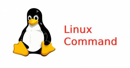 Các command hay dùng trên server