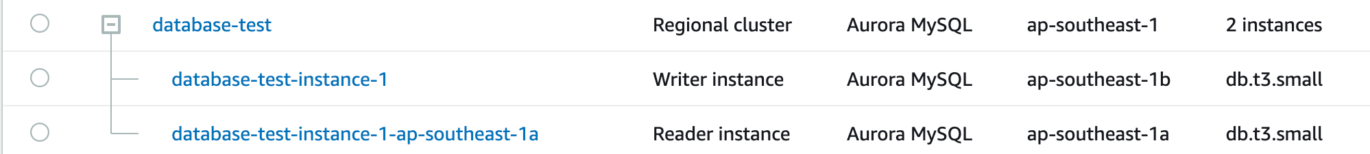 RDS Multi-AZ RDS Multi-AZ